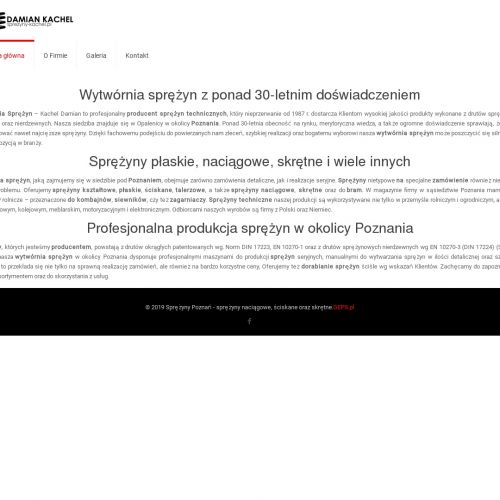 Sprężyny zagarniaczy - Poznań