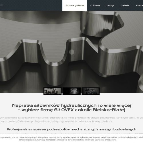 Katowice - naprawa siłowników hydraulicznych