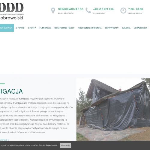 Usuwanie karaluchów