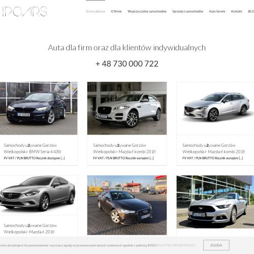 Mechanik samochodowy gorzów