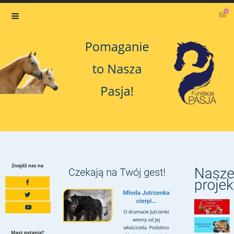 Zbiórka na ratowanie koni