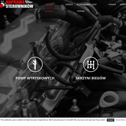 Naprawa sterownika opel - Kraków