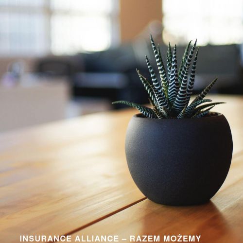 Współpraca z multiagencją ubezpieczeniową