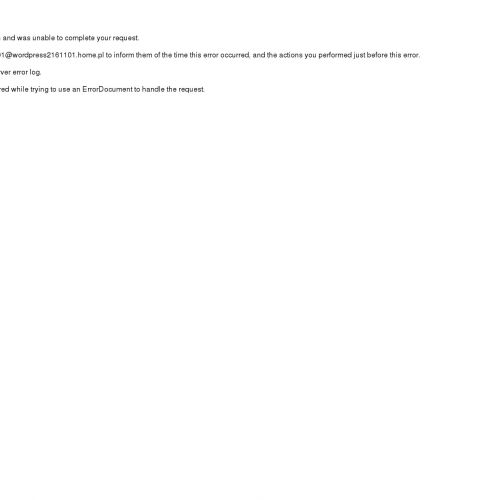 Kraków - siatka na ptaki