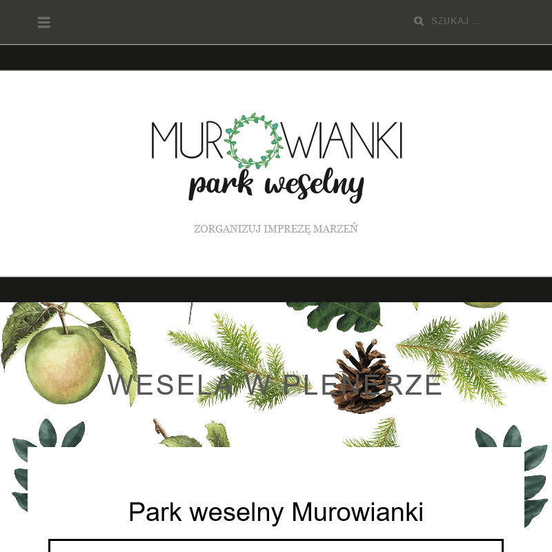 Wesela w plenerze - Sieradz