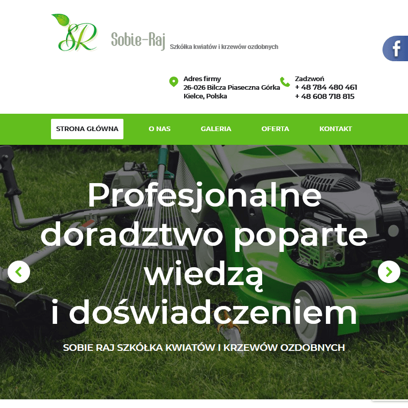 Kielce - drzewka liściaste do ogrodu